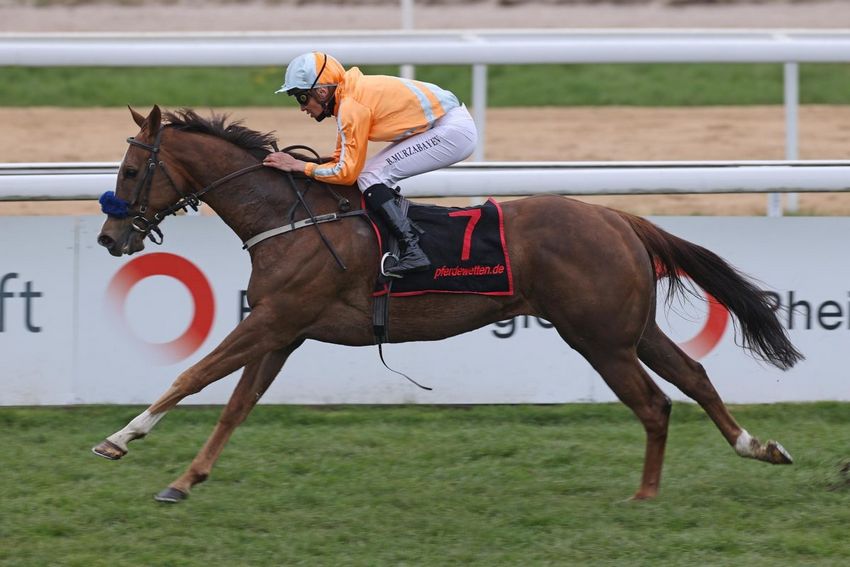 Jungle Spirit: Telephone Call of the Wild